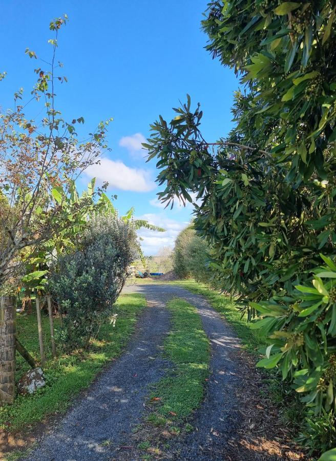 Bookabarn Villa Kerikeri Eksteriør billede
